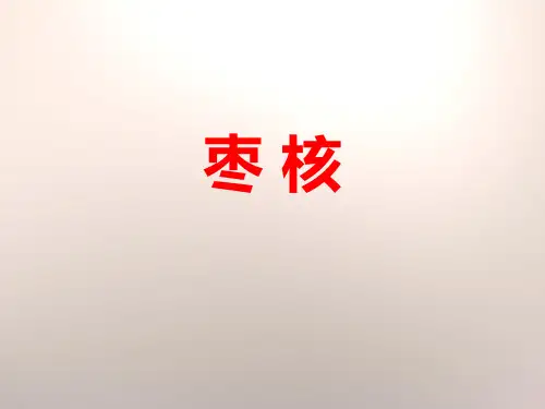 《枣核》PPT下载(完美版)
