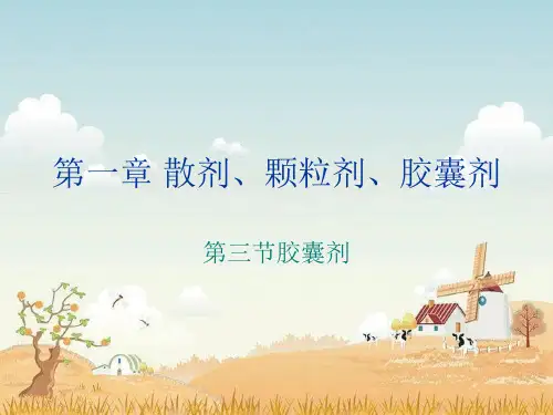 硬胶囊的制备