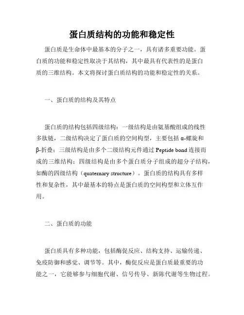 蛋白质结构的功能和稳定性