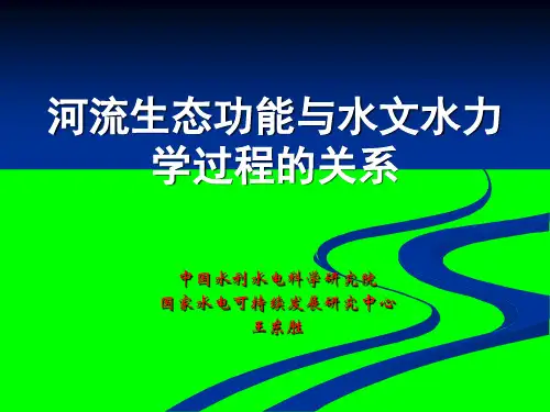 河流生态水文