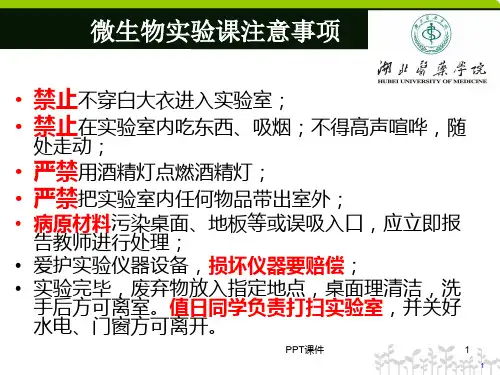 革兰染色法  ppt课件