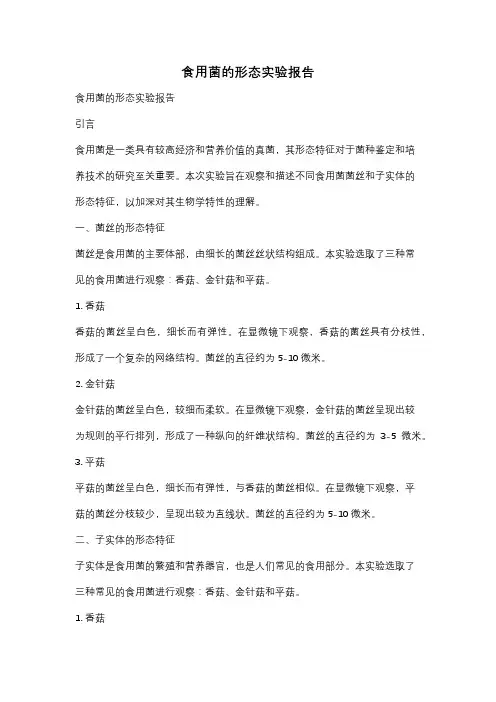 食用菌的形态实验报告