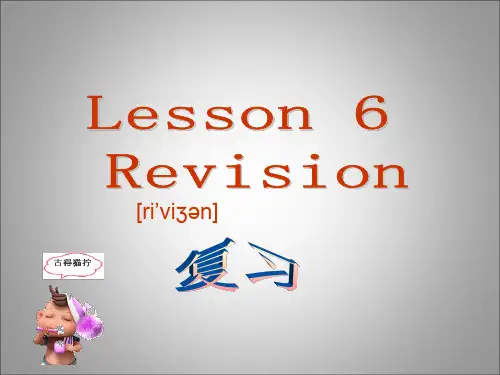 科普版英语三年级下册：lesson6++教学课件