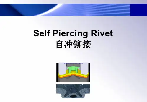 SPR-工艺介绍