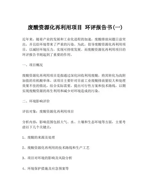 废酸资源化再利用项目 环评报告书(一)