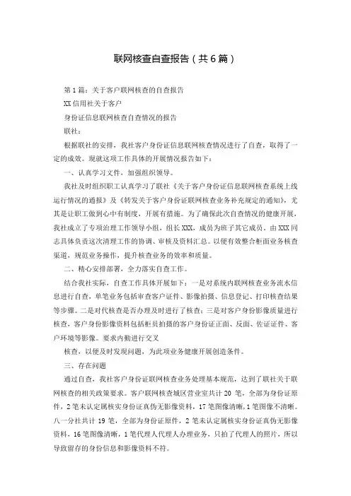 联网核查自查报告(共6篇)