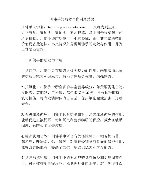 川佛手的功效与作用及禁忌