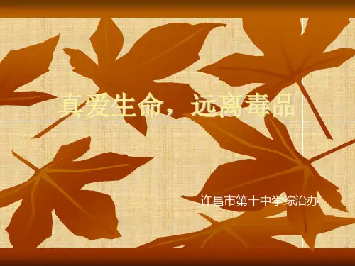禁毒教育宣传PPT精编版