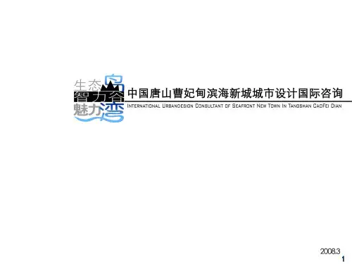 中规院曹妃海新城城市设计投标