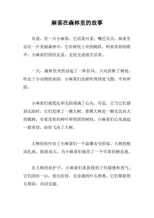 麻雀在森林里的故事