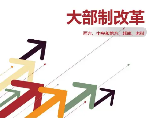 西方大部制改革和中央、地方的大部制改革