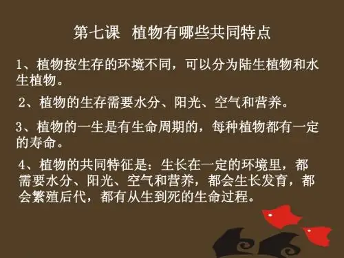 第七课   植物有哪些共同特点