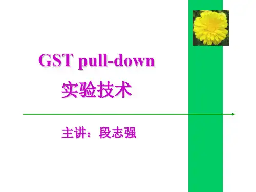 GST pull-down实验技术