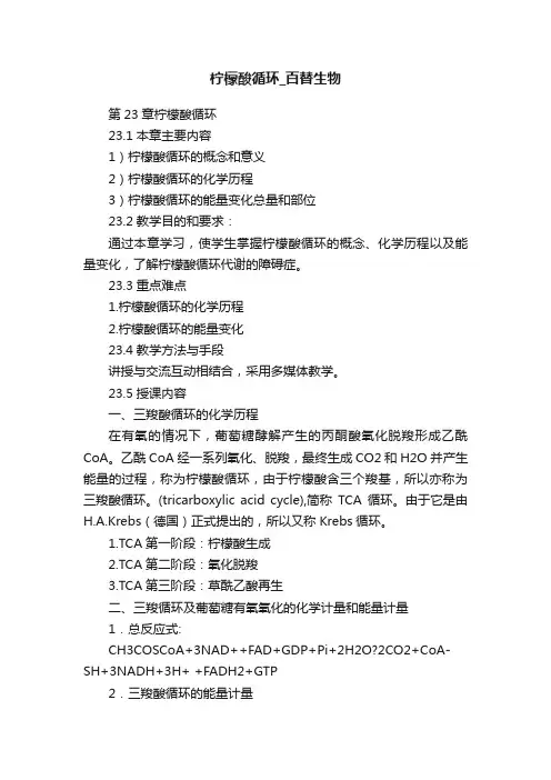 柠檬酸循环_百替生物