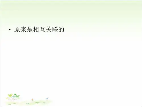六年级上册科学-原来是相互关联的优秀课件教科版1