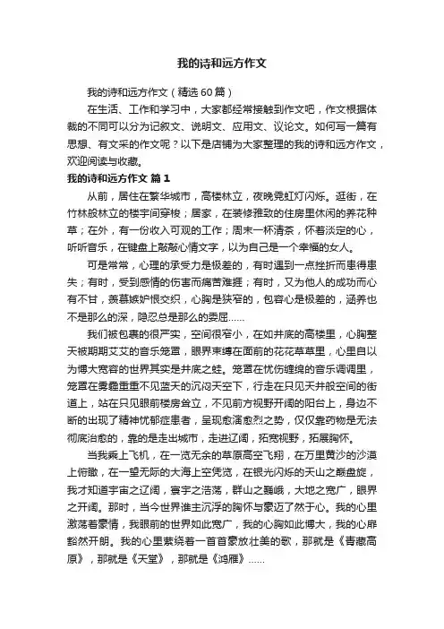 我的诗和远方作文