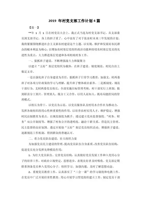 2019年村党支部工作计划4篇