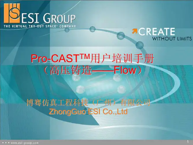 procas高压铸造-流场