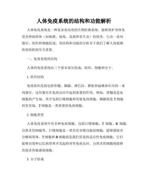 人体免疫系统的结构和功能解析