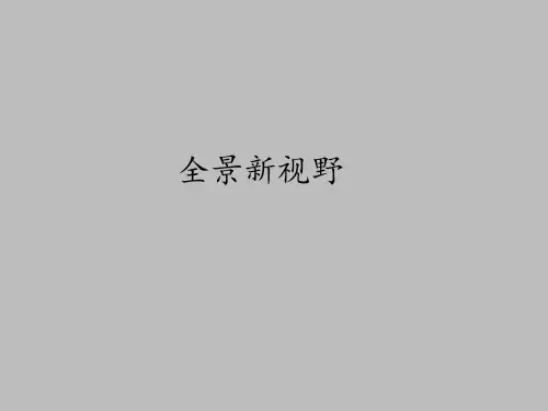 中图版高中信息技术选修2多媒体技术应用：全景新视野