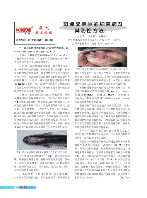 斑点叉尾鮰的细菌病及其防控方法(一)