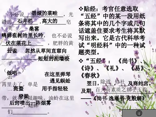 科举制度的创立PPT教学课件