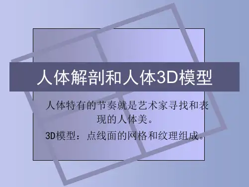 人体解剖和人体3D模型PPT