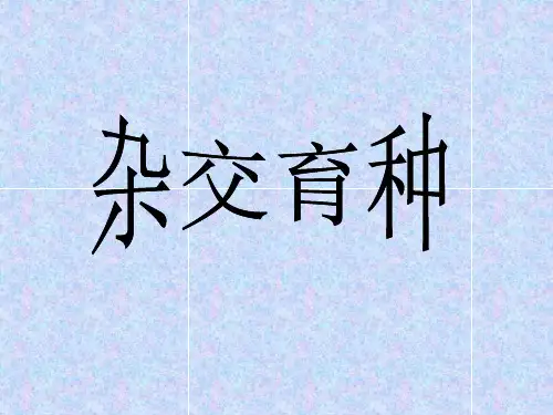 杂交育种