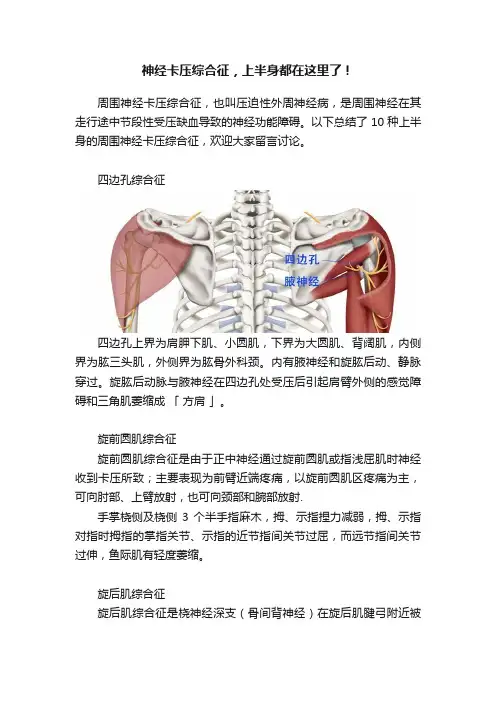 神经卡压综合征，上半身都在这里了！