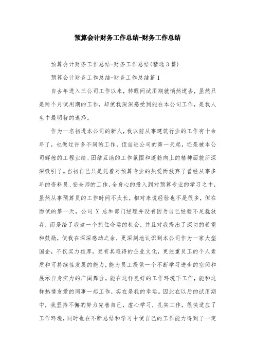 预算会计财务工作总结-财务工作总结