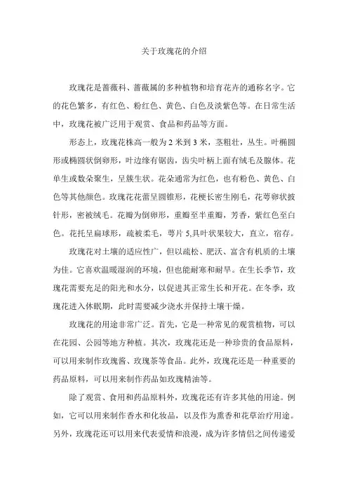 关于玫瑰花的介绍