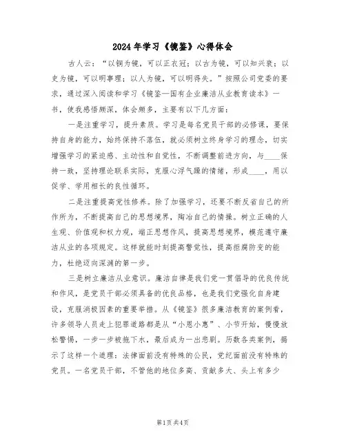 2024年学习《镜鉴》心得体会(2篇)