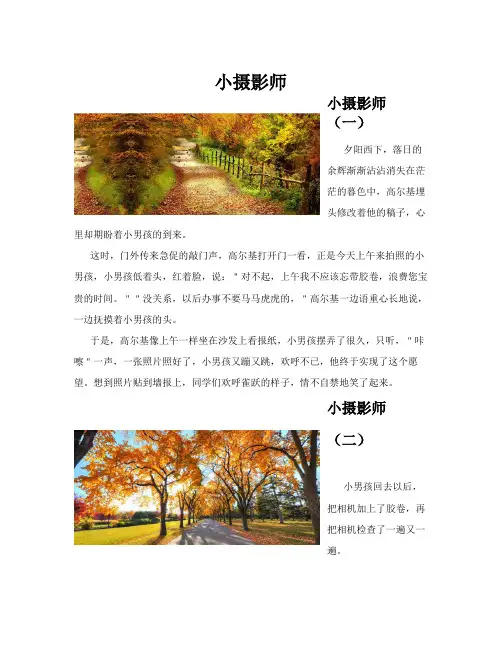 小摄影师(共10篇)