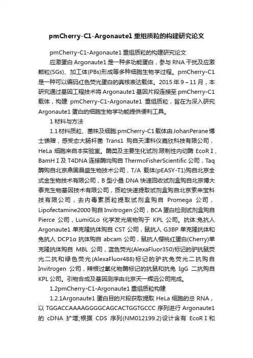 pmCherry-C1-Argonaute1重组质粒的构建研究论文