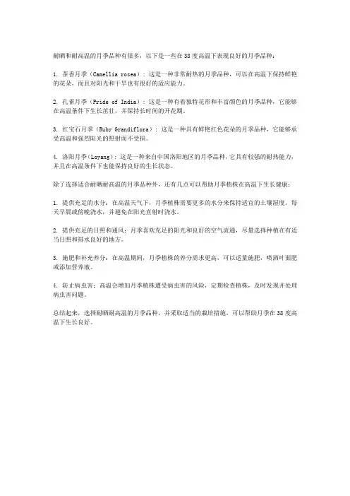 最最耐晒耐38度高温的月季