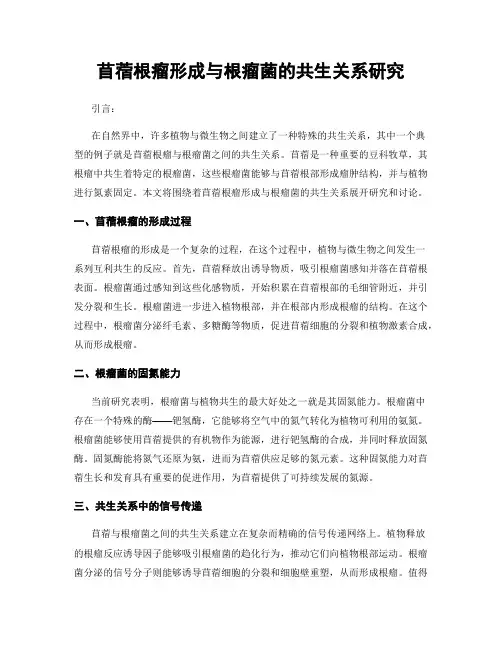 苜蓿根瘤形成与根瘤菌的共生关系研究