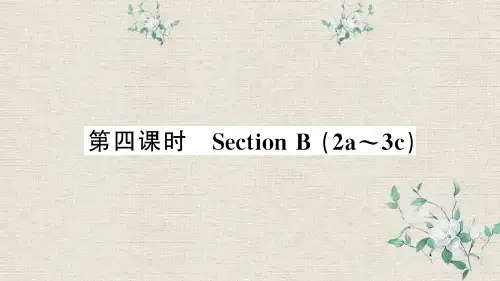 惠阳区第九中学七年级英语上册Unit5Doyouhaveasoccerball第四课时课件新版人教新