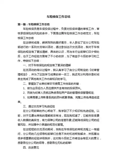 车险核保工作总结