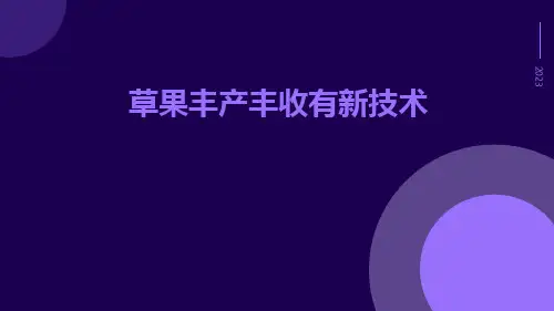 草果丰产丰收有新技术
