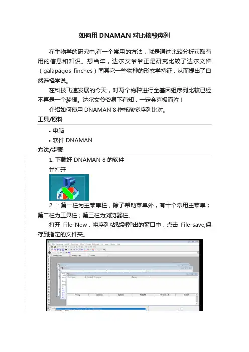如何用DNAMAN对比核酸序列