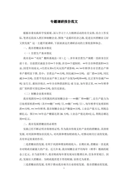 专题调研报告范文