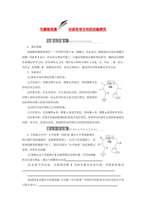 高三生物一轮复习 专题培优课 兴奋传导方向的实验探究 新人教版