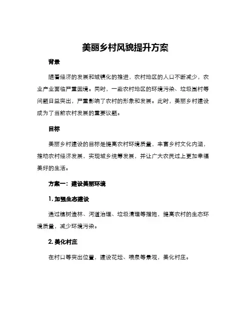 美丽乡村风貌提升方案