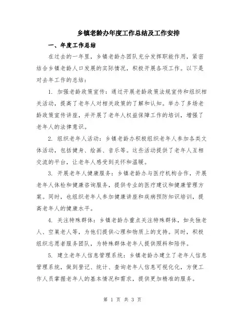 乡镇老龄办年度工作总结及工作安排
