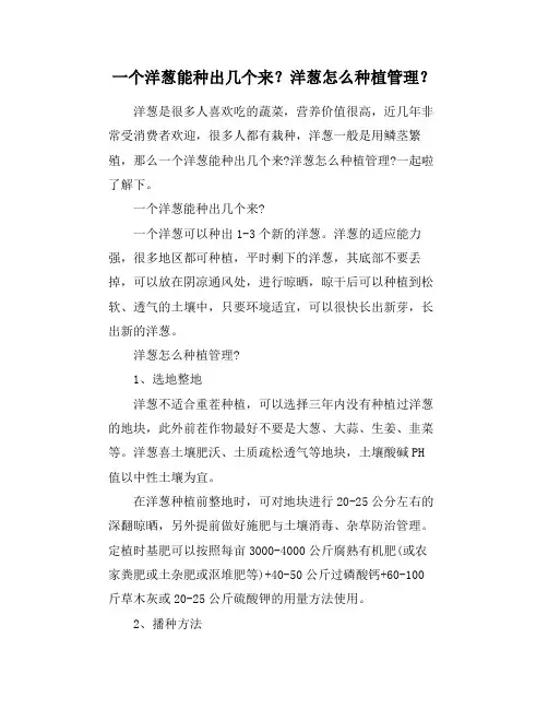一个洋葱能种出几个来？洋葱怎么种植管理？