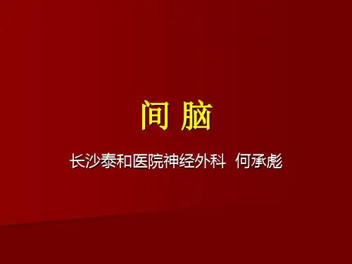 间脑