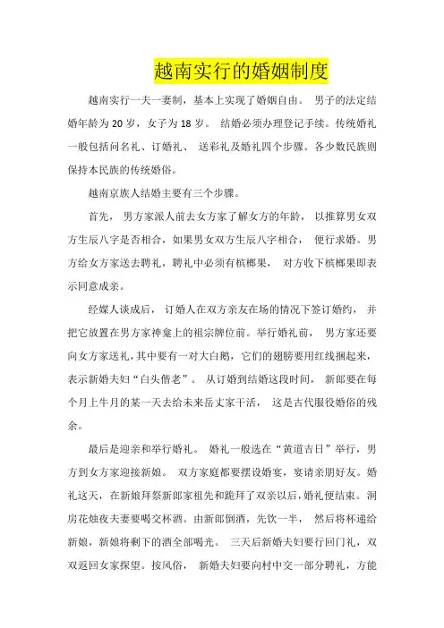 越南婚姻制度