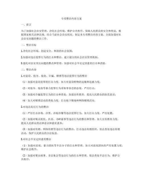 专项整治内容方案