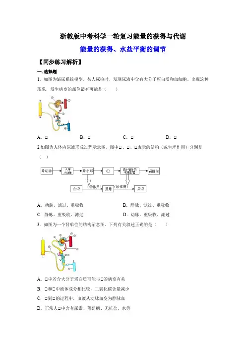 17.能量的获得与代谢(练习)(原卷版)