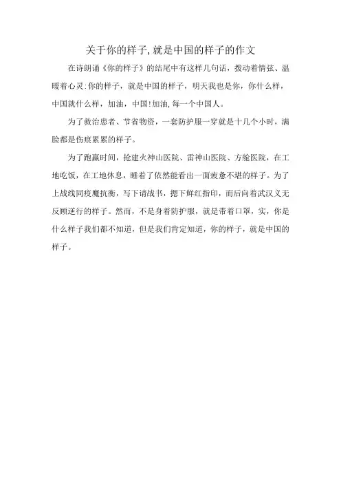 关于你的样子,就是中国的样子的作文